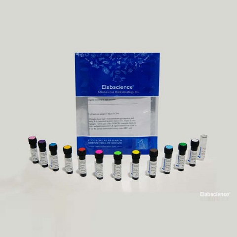 PE标记抗小鼠Ly6G抗体[1A8]Elabscience流式抗体-E-AB-F1108D