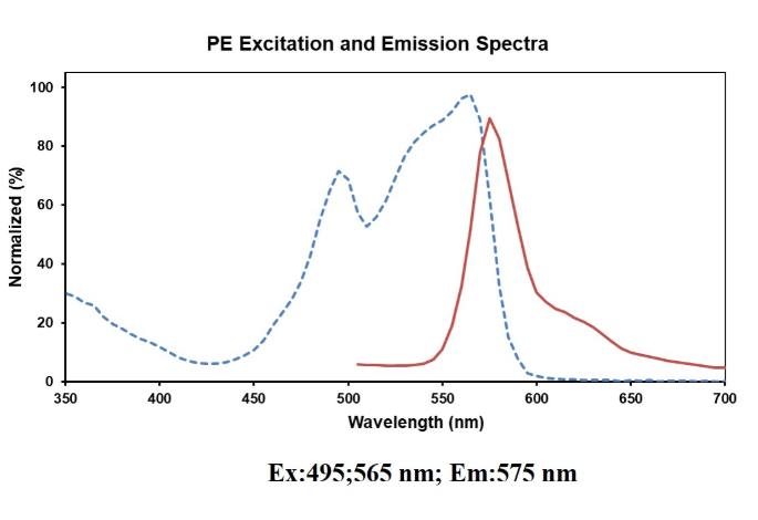 PE标记抗小鼠IL-17A抗体[TC11-18H10.1]Elabscience流式抗体