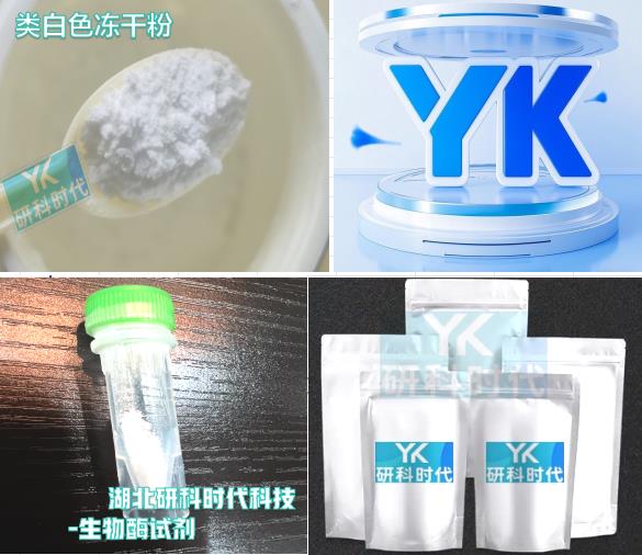 415903-37-6格拉普兰特；格拉匹纶；CJ-023423；克普兰特；纯度≥98.0%生物酶试剂系列；湖北研科时代科技-“研”无止境;“科”学创新！检测图谱；MSDS等技术支持