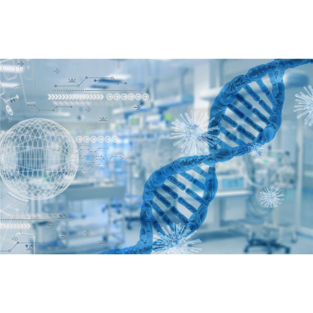 1H-吲哚-5-磺酰氯