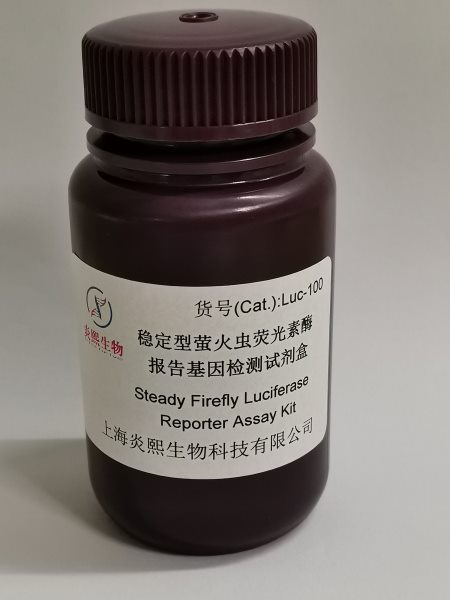 稳定型萤火虫荧光素酶报告基因检测试剂盒