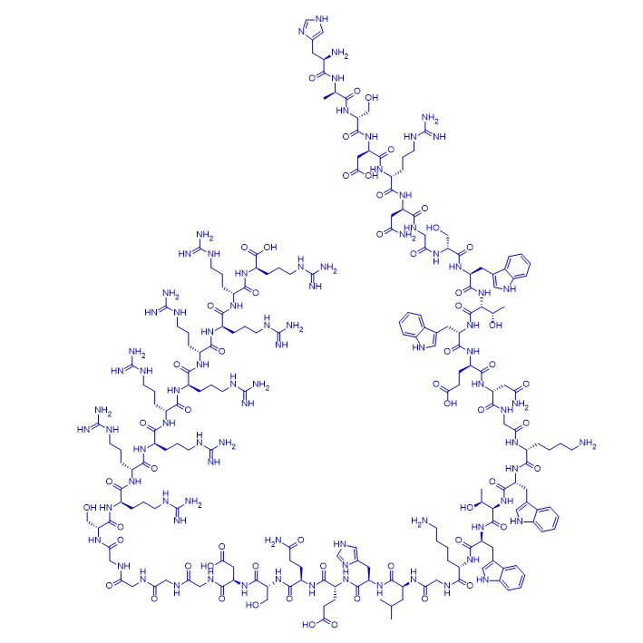 对照肽APTscr-9R/APTSTAT3-9R, scrambled