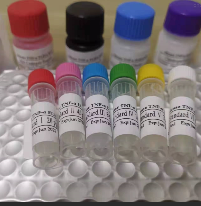 Bovine Polyomavirus牛多瘤病毒探针法荧光定量PCR试剂盒