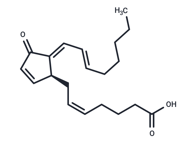 化合物 15-deoxy-Δ-12,14-Prostaglandin J2|T22473|TargetMol