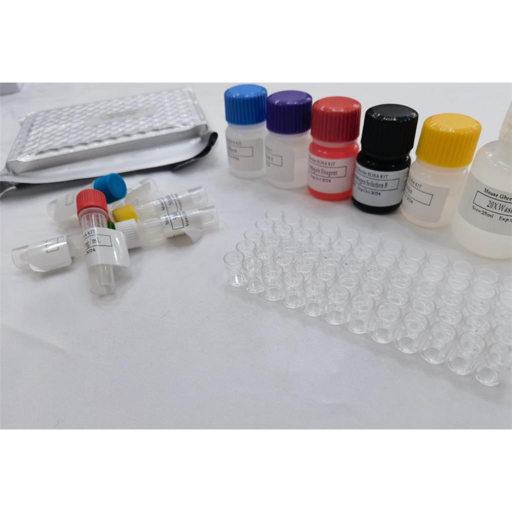 大鼠干扰素γ (IFN-γ) 酶联免疫分析(ELISA)试剂盒