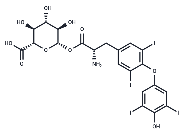 化合物 Levothyroxine acyl glucuronide|T11843|TargetMol
