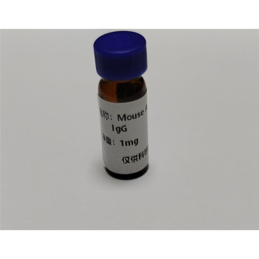 小鼠抗人IgG；Mouse Anti-human IgG