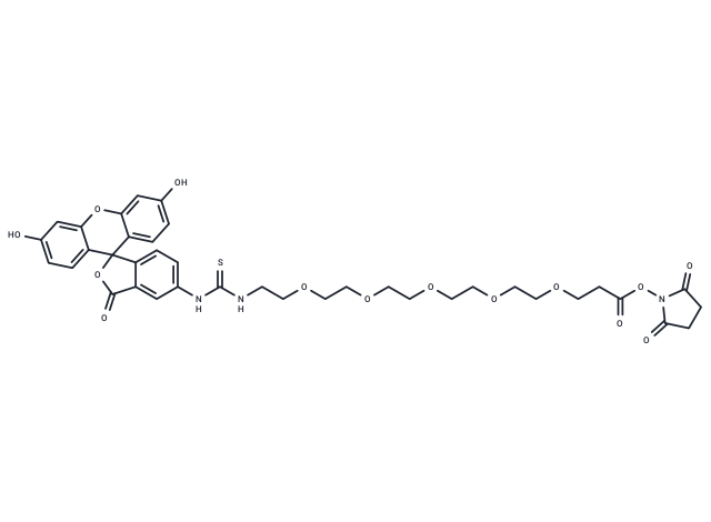 化合物 Fluorescein-PEG5-NHS ester|T17944|TargetMol
