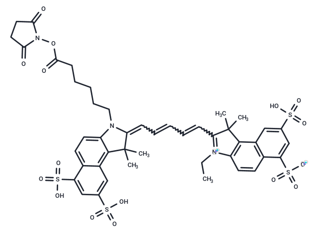 化合物 Cy5.5-SE|T18947|TargetMol