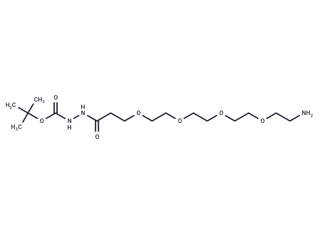 化合物 Amino-PEG4-hydrazide-Boc|T14242|TargetMol