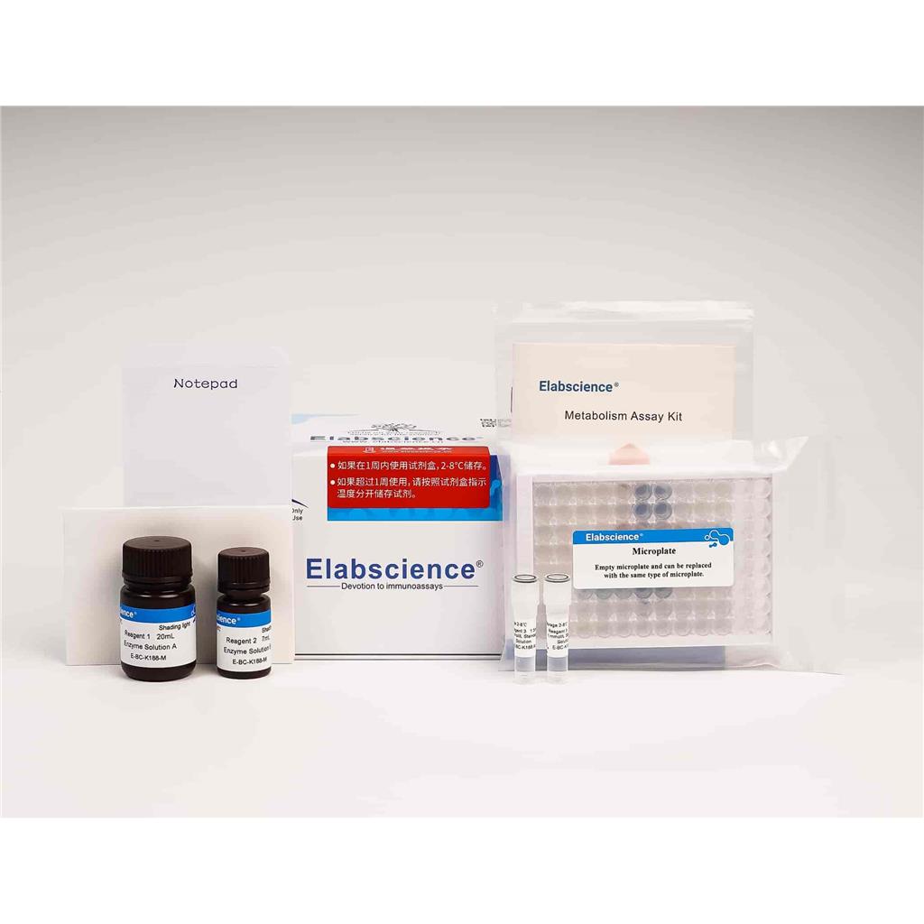 乳酸脱氢酶（LDH）细胞毒性比色法测试盒Elabscience 
