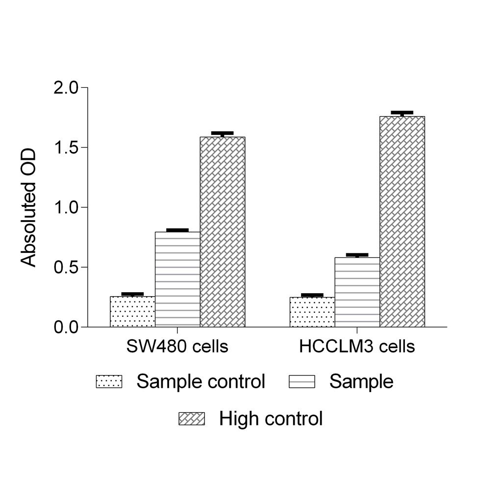 乳酸脱氢酶（LDH）细胞毒性比色法测试盒Elabscience 