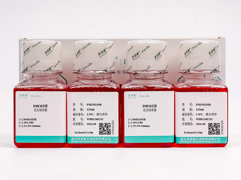 DMEM高糖完全培养基（含10% FBS）PM150210B