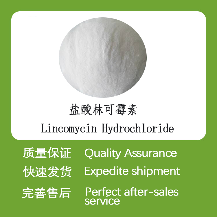盐酸林可霉素CAS859-18-7