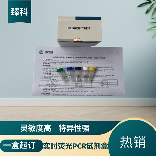猪蓝耳病病毒通用型(PRRSV-U)PCR检测检测试剂盒