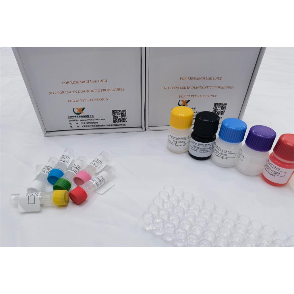 大鼠组织蛋白酶K (CTSK)酶联免疫分析(ELISA)试剂盒