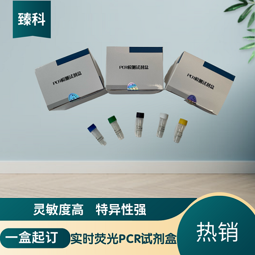 牛腺病毒3型(BAV-3)PCR检测试剂盒