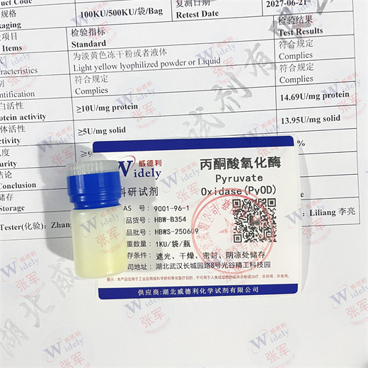 丙酮酸氧化酶 9001-96-1 威德利  酶类优势产品 淡黄色粉末