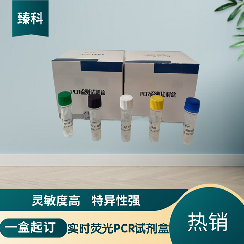 牛结核分歧杆菌(MB)PCR核酸检测试剂盒