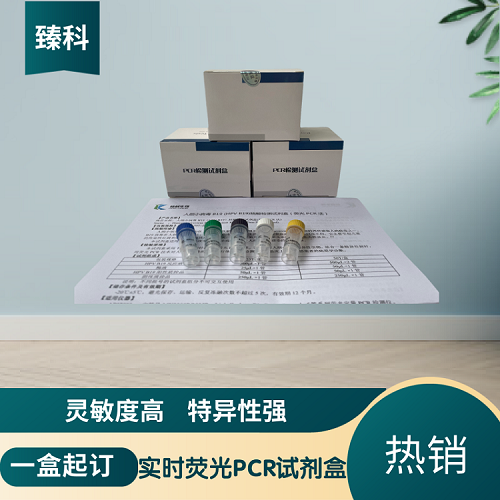恙虫病东方体（OT）PCR检测试剂盒