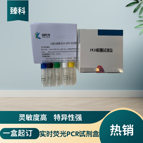 转基因植物NOS终止子PCR检测试剂盒