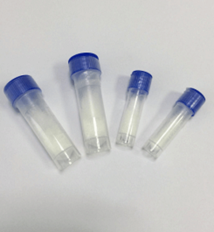 多肽GLP-1R/AMYR（胰淀素受体）激动剂