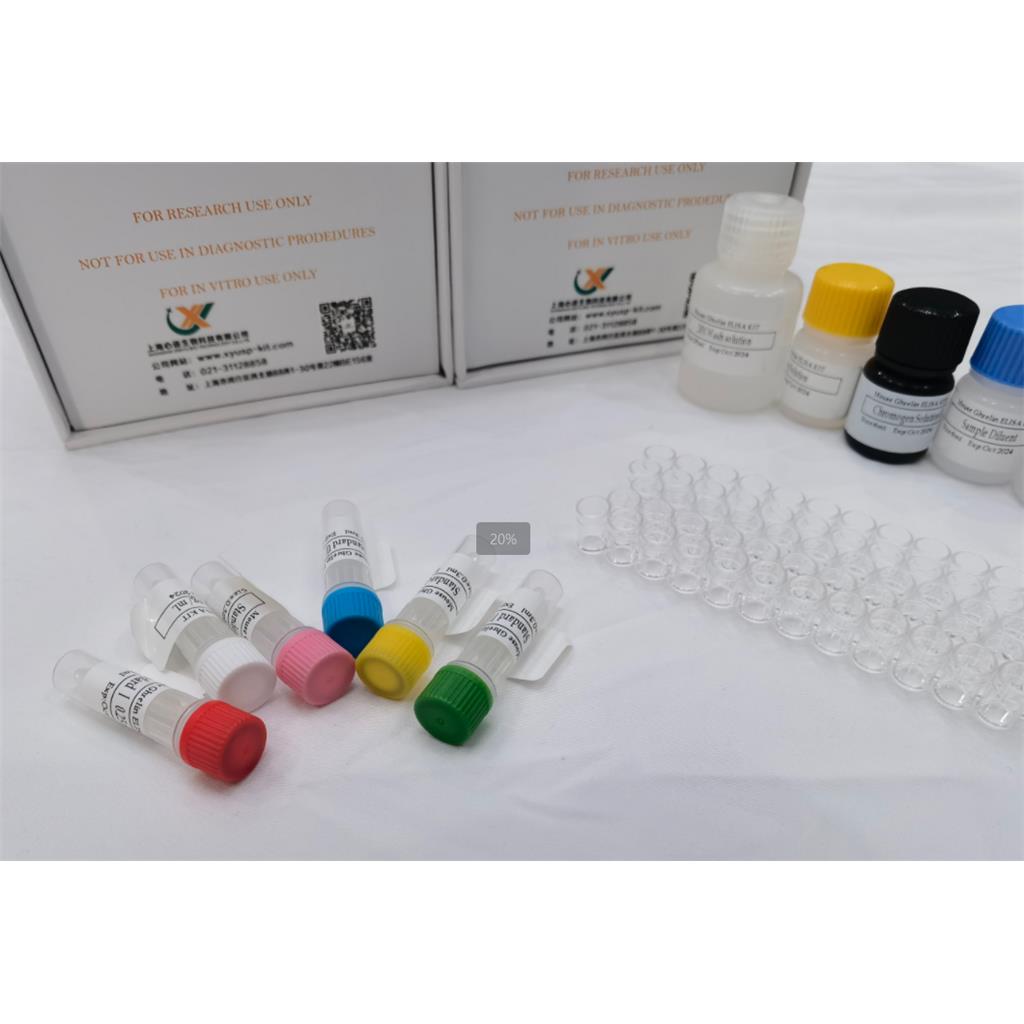 大鼠钙卫蛋白 (Calprotectin)酶联免疫分析(ELISA)试剂盒