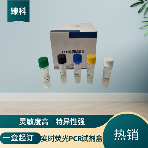 C型产气荚膜杆菌(CP-C)PCR检测试剂盒