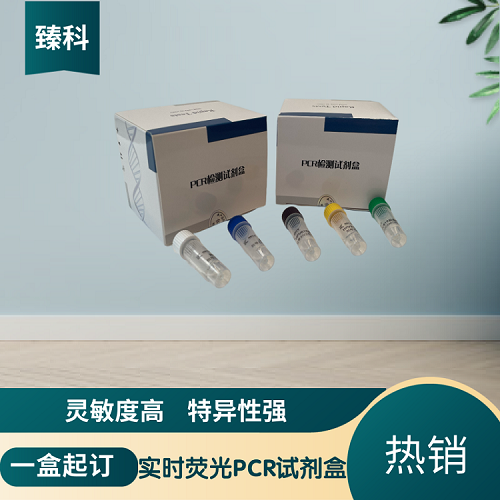 赤羽病病毒（AKAV)PCR检测试剂盒