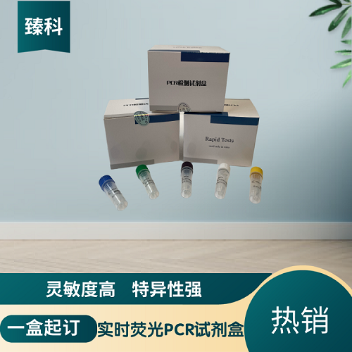 鱼类神经坏死病毒（VNN）PCR检测试剂盒