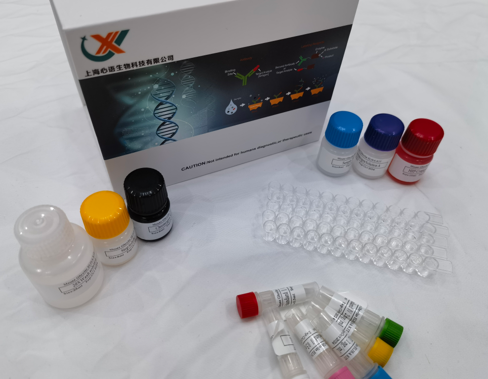 大鼠陷窝蛋白1 (Cav-1) ELISA试剂盒