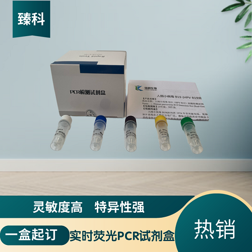 对虾黄头病病毒(YHV)PCR检测试剂盒