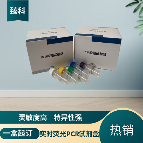 真鲷虹彩病毒(RSIV)PCR检测试剂盒
