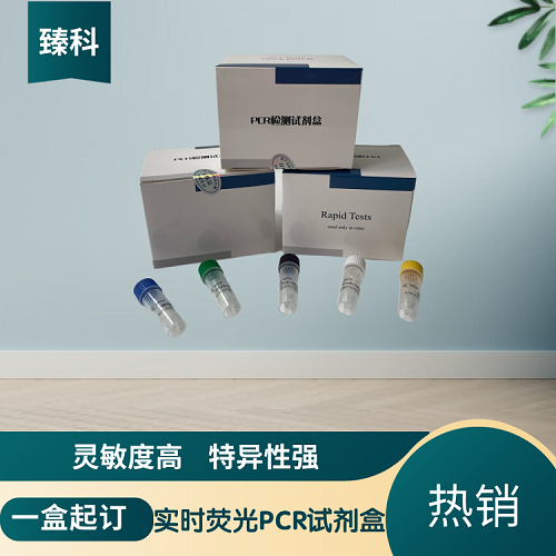 马媾疫锥虫PCR检测试剂盒