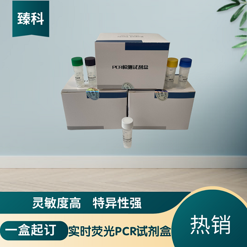 小反刍兽疫病毒PCR检测试剂盒