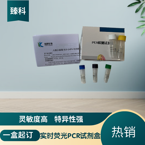 禽传染性喉气管炎病毒(AiLTV)PCR试剂盒