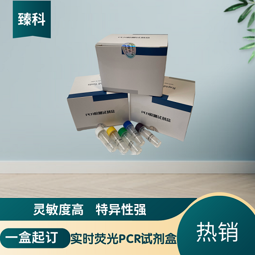 猪圆环病毒I型PCR检测试剂盒