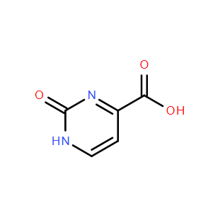 2-氧-3H-嘧啶-4-羧酸