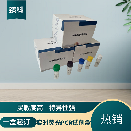 禽流感病毒H7亚型(AIV-H7)PCR试剂盒