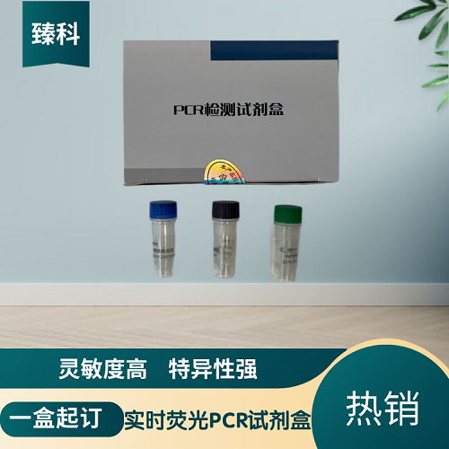禽流感病毒H10亚型(AIV-H10)PCR试剂盒