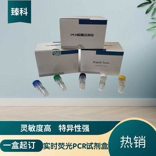 禽传染性支气管炎病毒PCR检测试剂盒