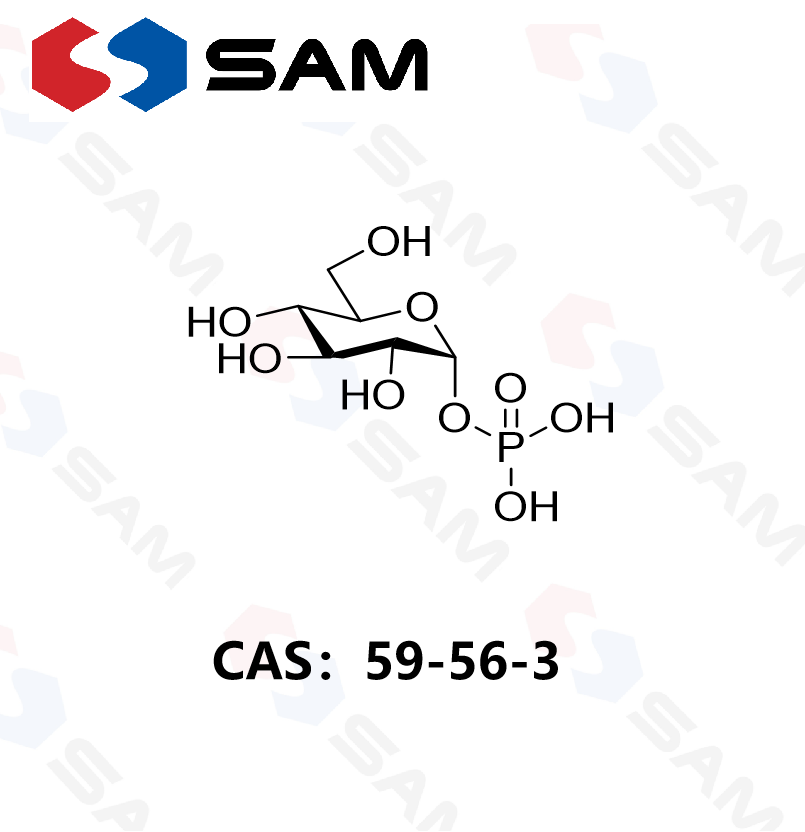 α-D-葡萄糖-1-磷酸