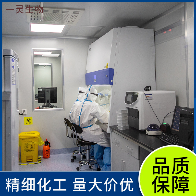 水溶性四氮唑-8  适合高通量筛选和自动化平台