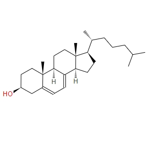7-去氢胆固醇434-16-2	