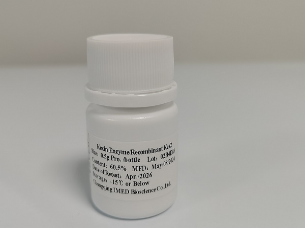 重组双碱性氨基酸内肽酶