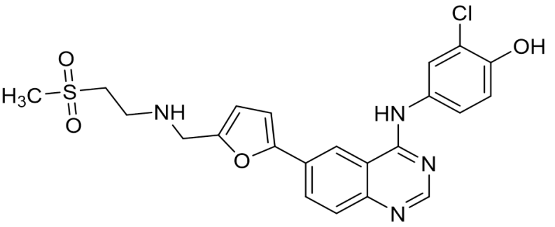 拉帕替尼杂质06