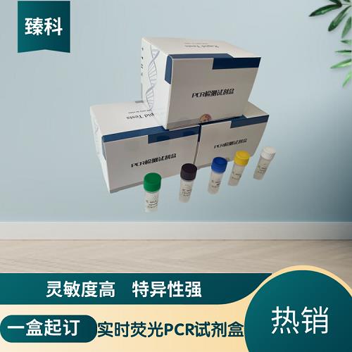 P45 (1).png P45 (1).png