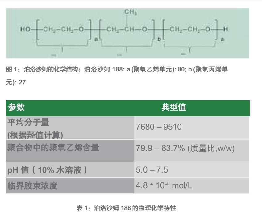 泊洛沙姆188bio.jpg 泊洛沙姆188bio.jpg