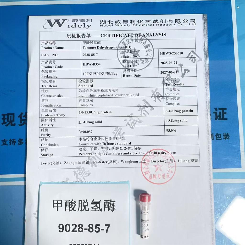 甲酸脱氢酶 9028-85-7 蛋白活性 5.0-15.0U/mg protein 专业精准检测