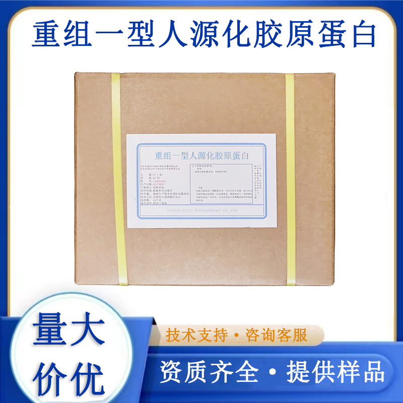 重组一型人源化胶原蛋白